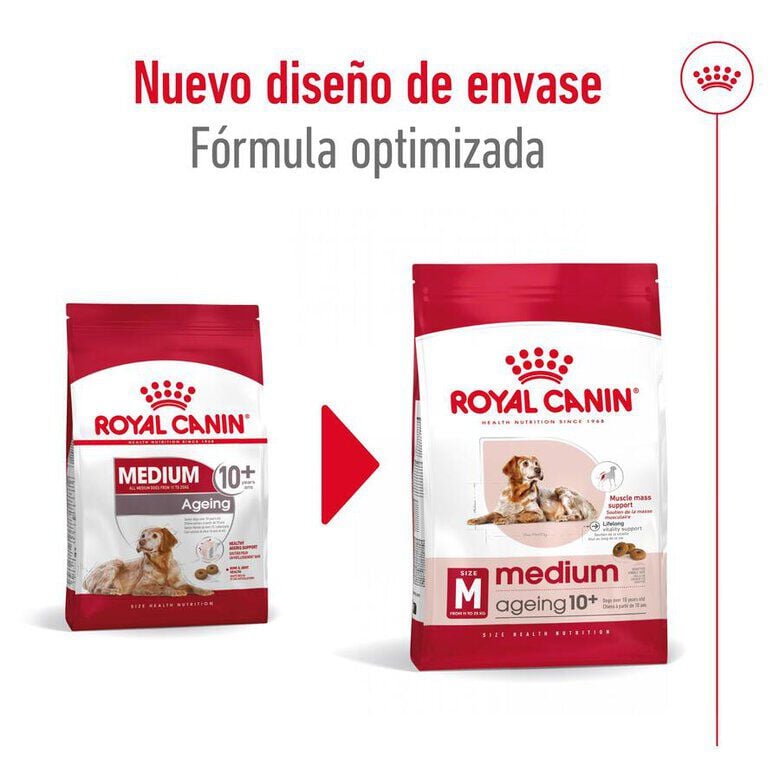 15 kg Royal Canin Medium 10+ Ageing pienso para perros&nbsp;senior, , large Imagen numero 2