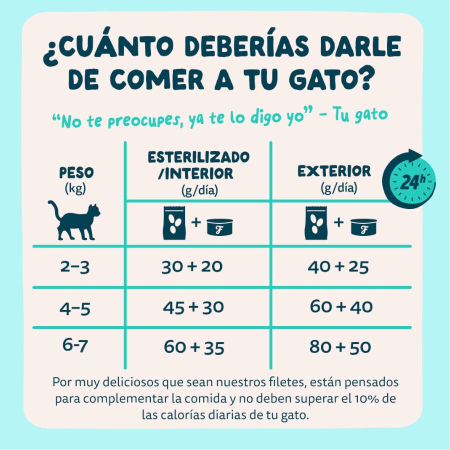 70 g Edgard & Cooper Filetes de At&uacute;n y Gambas lata para gatos, , large indicador imagen numero 8