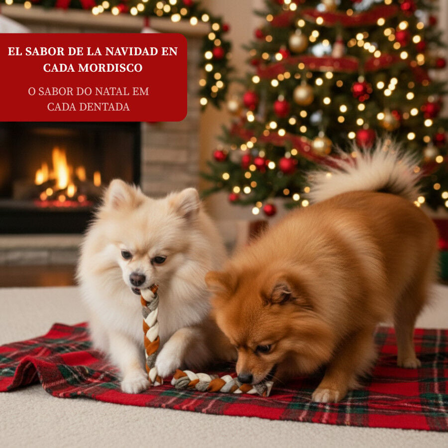 2 barritas Wonder Christmas Snacks de Piel de Pescado para perros, , large indicador imagen numero 4
