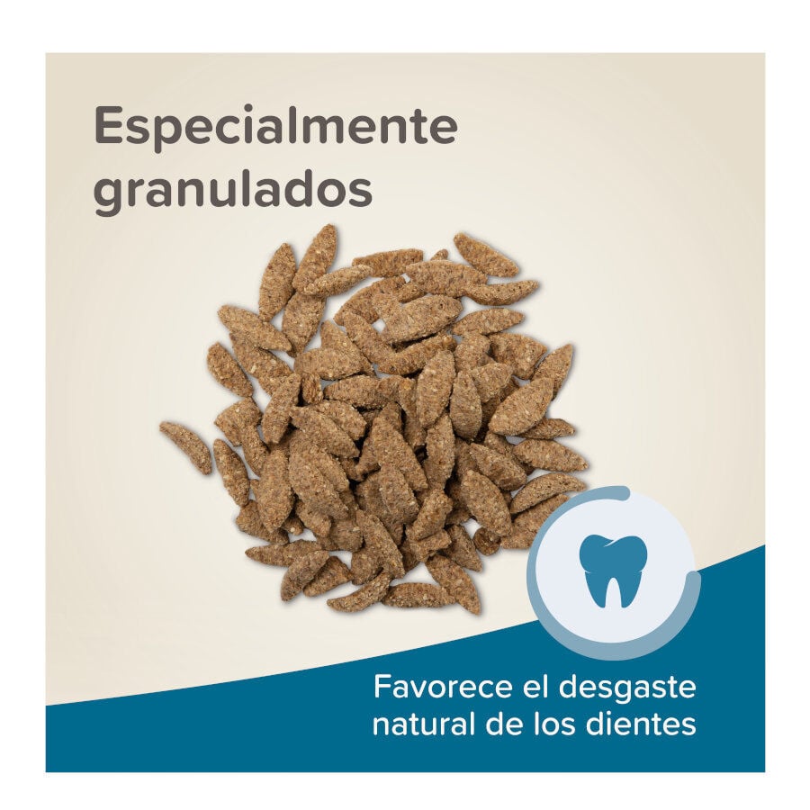 Beaphar Care+ pienso para chinchillas, , large indicador imagen numero 6