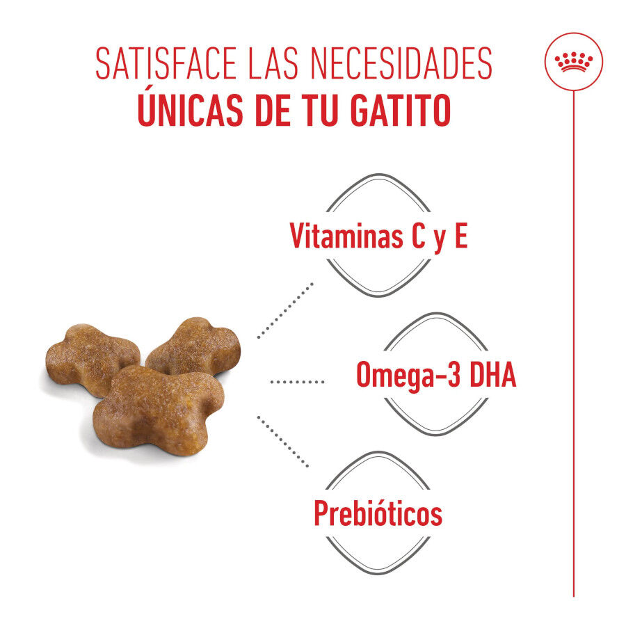 4 kg Royal Canin Kitten pienso para gatos, , large Imagen numero 3