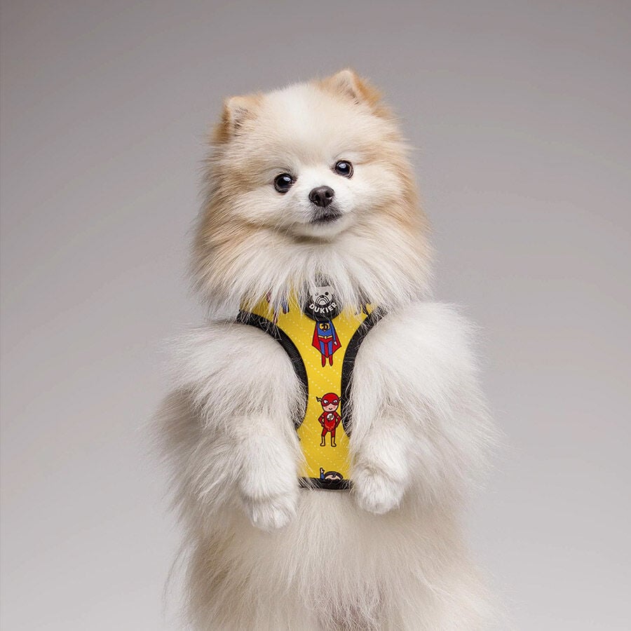 Dukier Superdog Arn&eacute;s Reversible Estampado Superh&eacute;roes para perros, , large Imagen numero 2