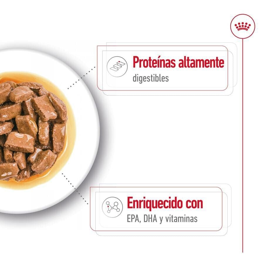 140 g Royal Canin Maxi Ageing sobre en salsa para perros&nbsp;senior, , large indicador imagen numero 4