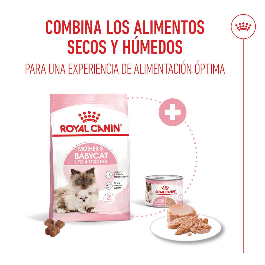 4 kg Royal Canin Mother & Babycat pienso para gatos, , large indicador imagen numero 6