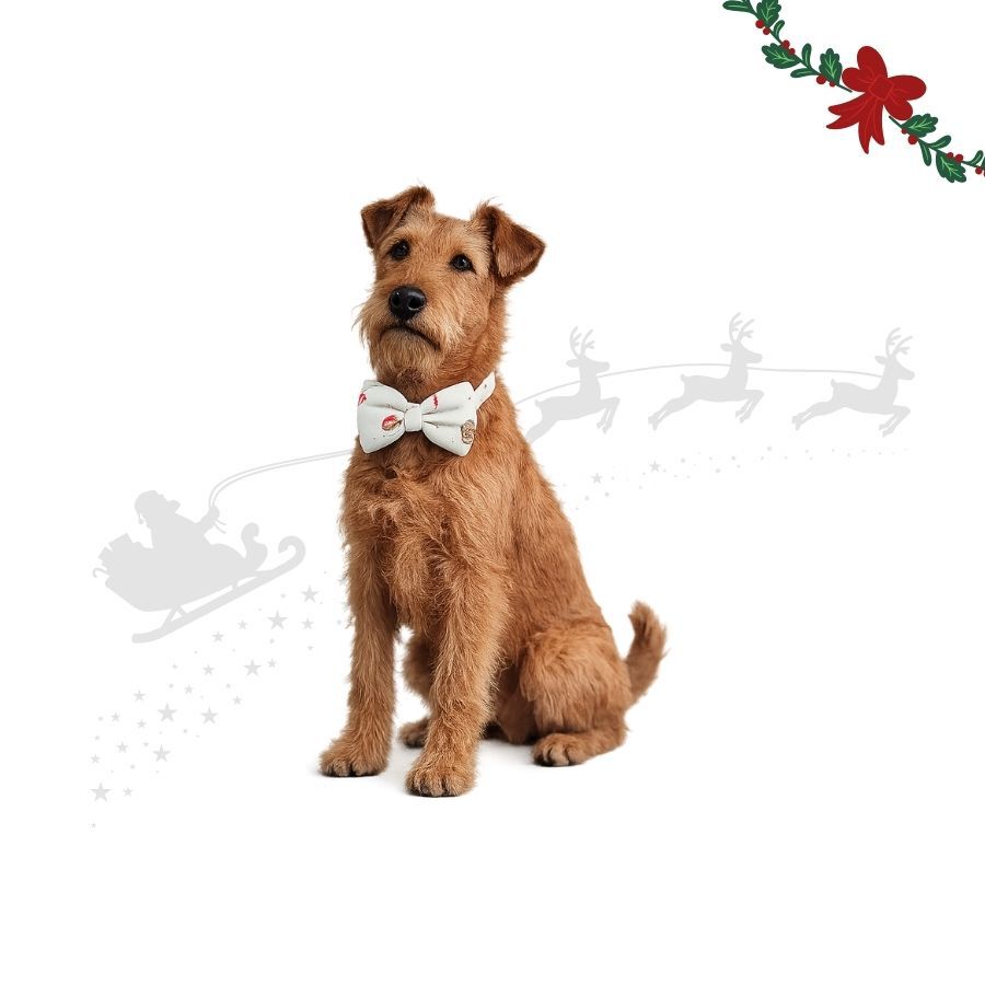 Wonder Christmas Pajarita Caramelo para perros, , large Imagen numero 1