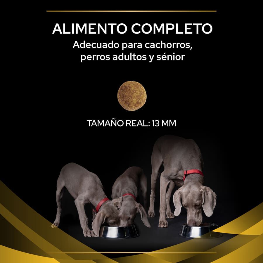 12 kg Pro Plan Veterinary Diets Joint Mobility pienso para perros, , large Imagen numero 3