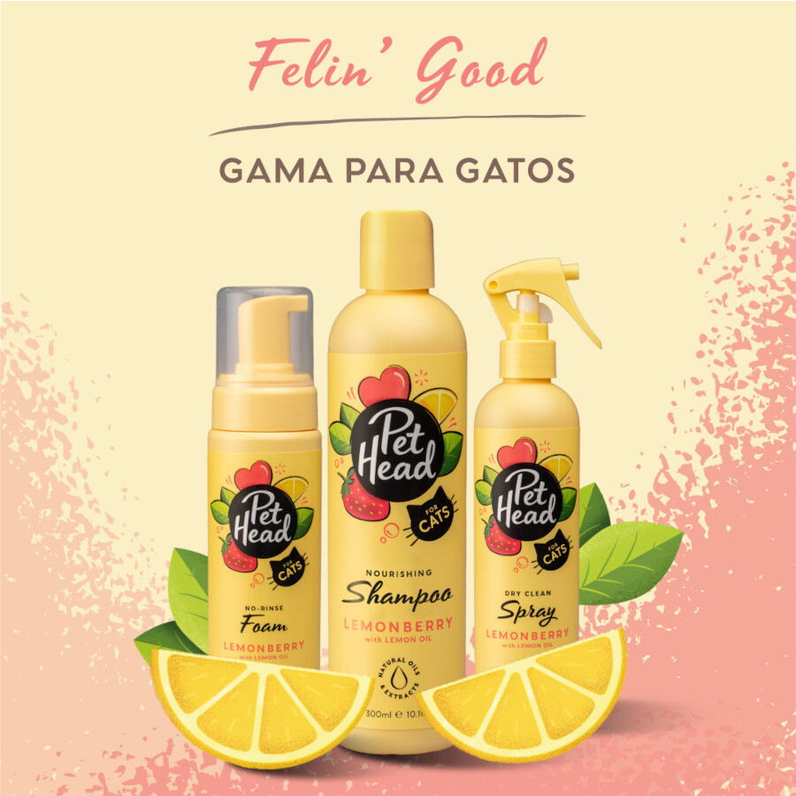 Pet Head champ&uacute; en seco de fresa/lim&oacute;n para gatos, , large Imagen numero 5