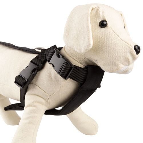 TK-Pet Arn&eacute;s de Coche para perros
