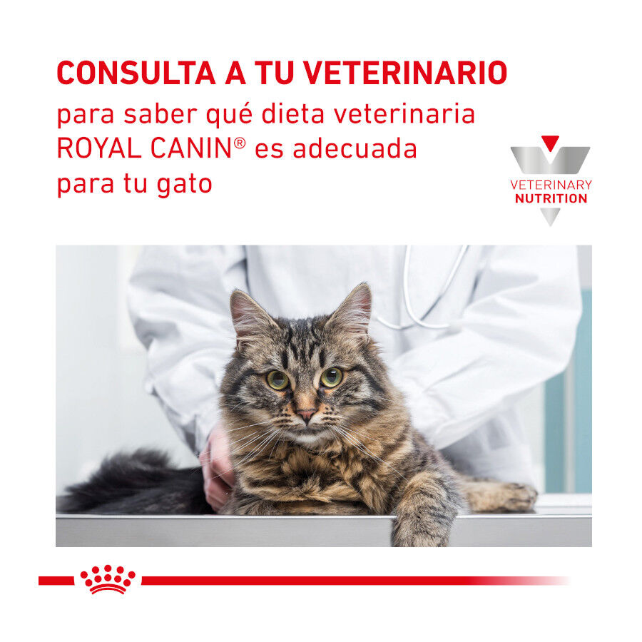 12 sobres x 85 g Royal Canin Veterinary Gastrointestinal sobre en salsa para gatos, , large indicador imagen numero 8
