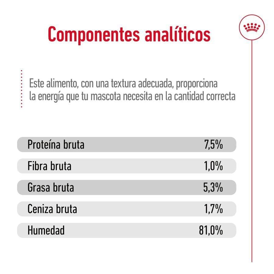140 g Royal Canin Maxi Adult Carne sobre en salsa para perros, , large Imagen numero 8