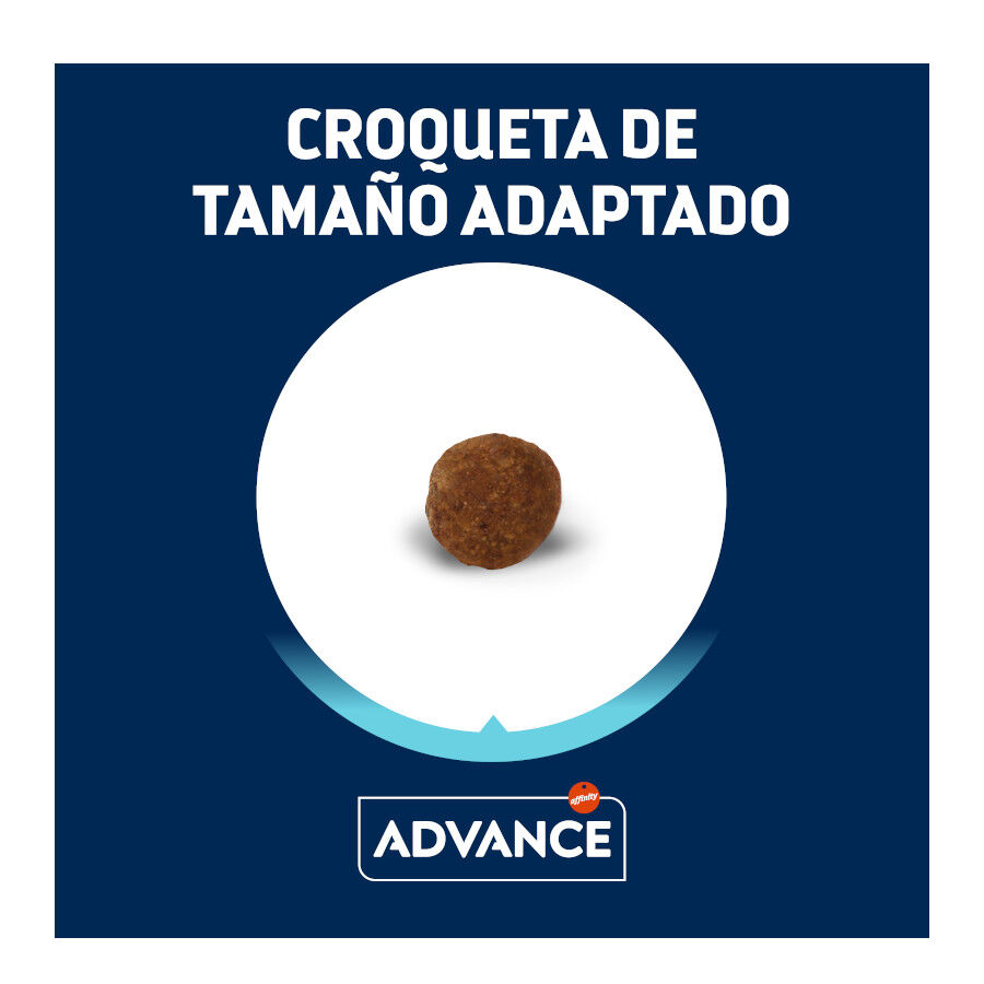 1.5 kg Advance Active Defense Yorkshire Terrier Adult pienso para perros, , large indicador imagen numero 3