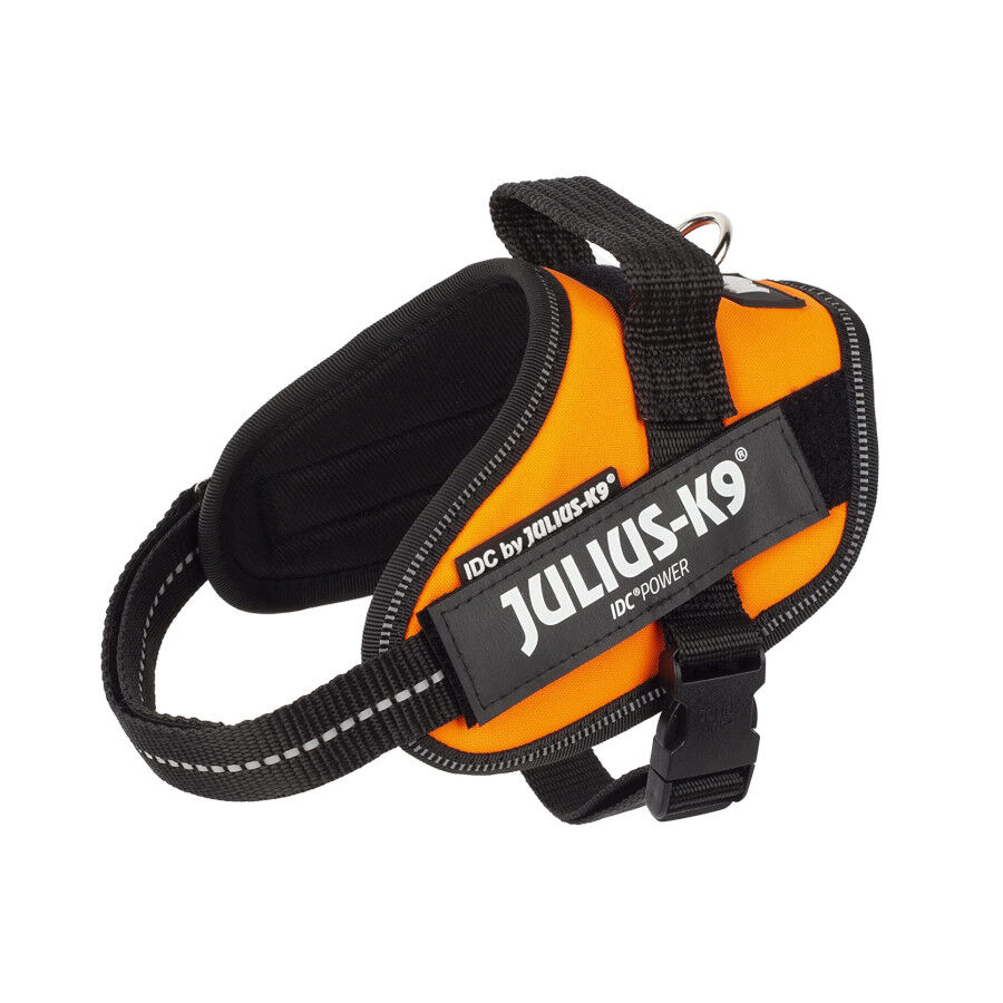 Julius K9 IDC Power Arn&eacute;s Naranja para perros, , large Imagen numero 1