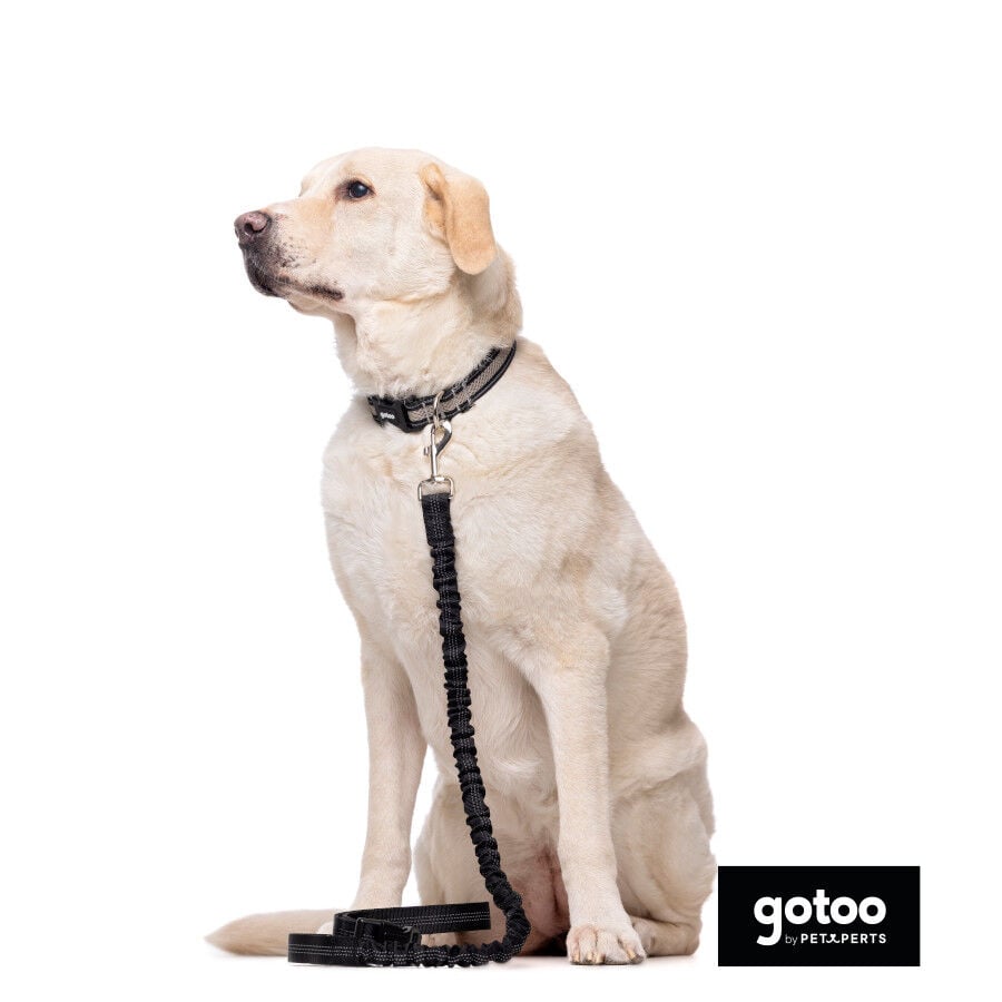 Gotoo Correa doble de nylon negra para perros, , large Imagen numero 3