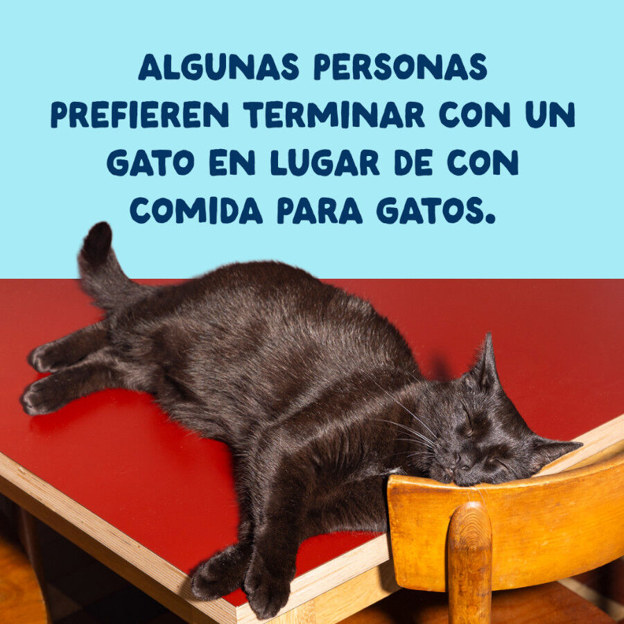 70 g Edgard & Cooper Filetes de At&uacute;n y Calamar lata para gatos, , large indicador imagen numero 9