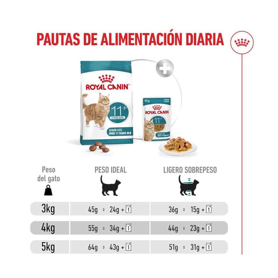 4 kg Royal Canin Ageing 11+ Sterilised pienso para gatos&nbsp;senior, , large indicador imagen numero 9