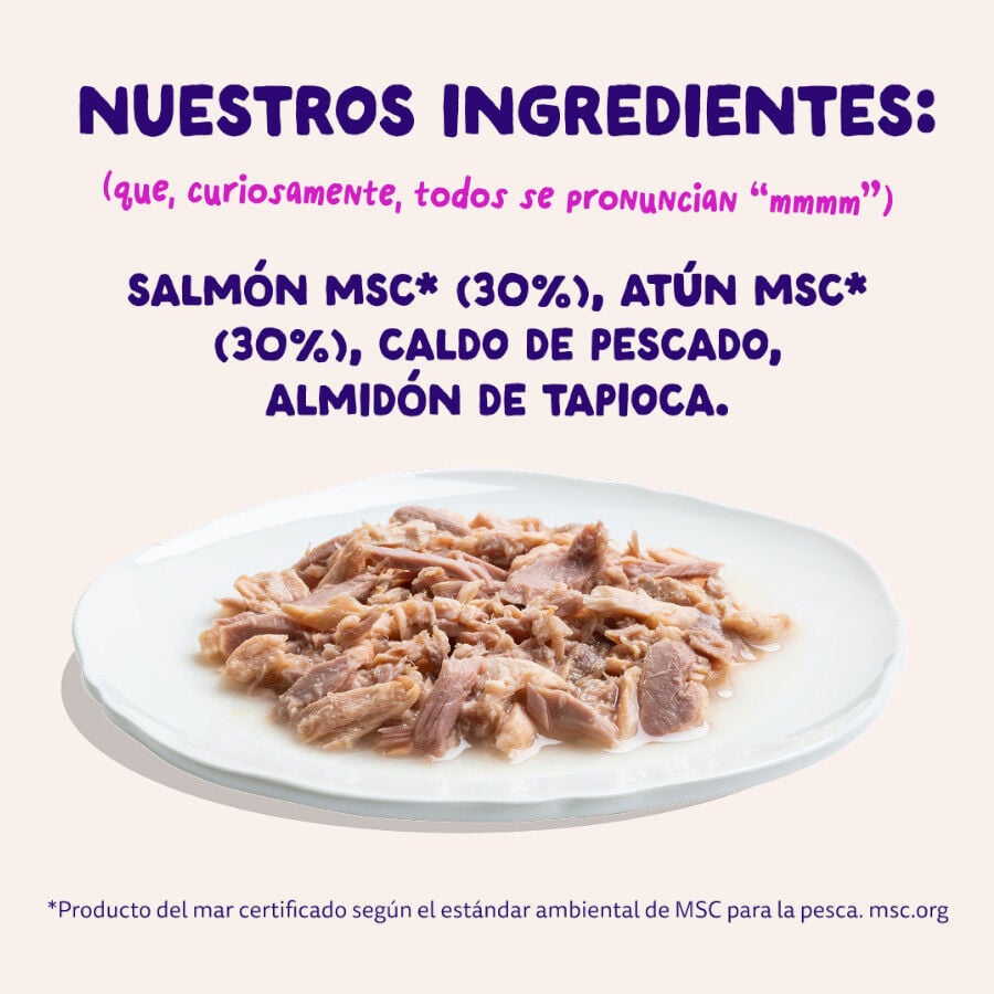 70 g Edgard & Cooper Filetes de Salm&oacute;n y At&uacute;n Lata para gatos, , large indicador imagen numero 6