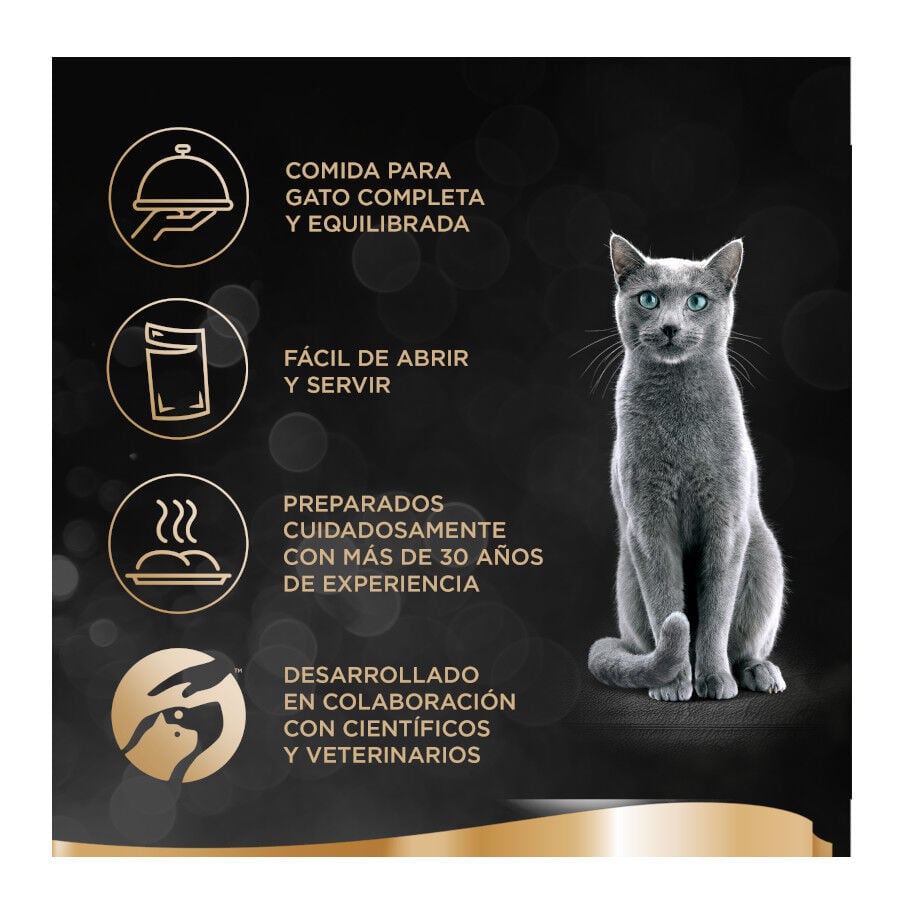44 tarrinas x 85 g  Sheba Finesse Pollo y Salm&oacute;n en pat&eacute; tarrinas para gatos, , large indicador imagen numero 2