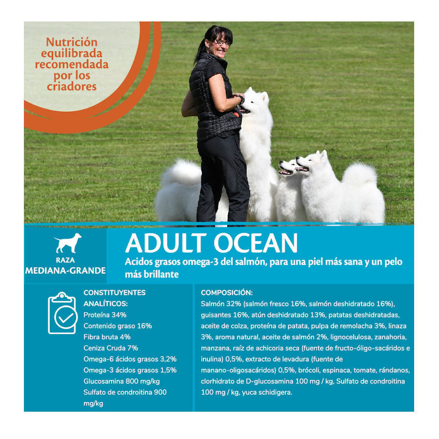 10 kg Wellness Core Adult Medium/Large Ocean Salm&oacute;n y At&uacute;n pienso para perros, , large indicador imagen numero 5