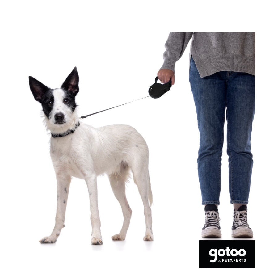 Gotoo Correa extensible negra para perros, , large Imagen numero 3
