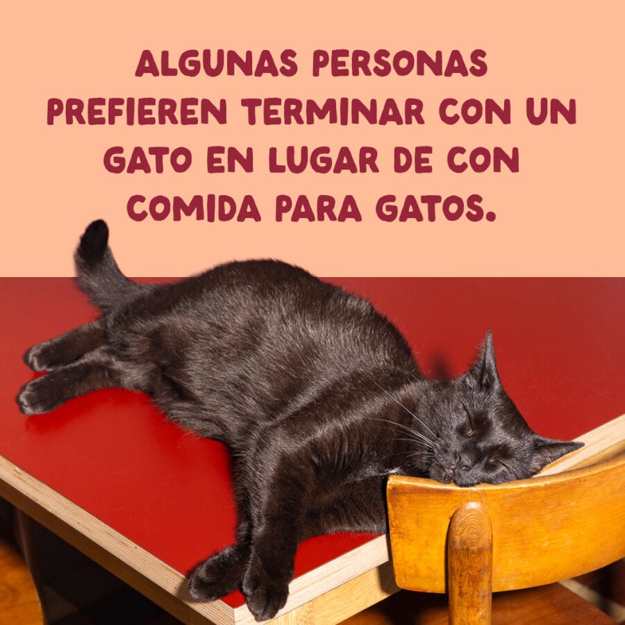 70 g Edgard & Cooper Filetes de Pollo Lata para gatos, , large indicador imagen numero 9
