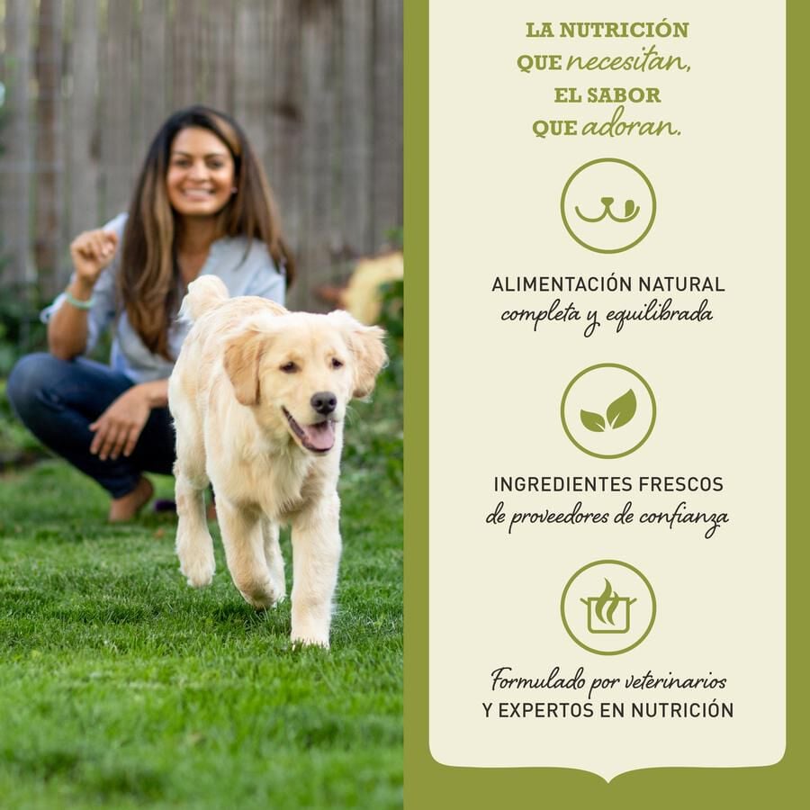 11.4 kg Acana Senior pienso para perros, , large indicador imagen numero 7