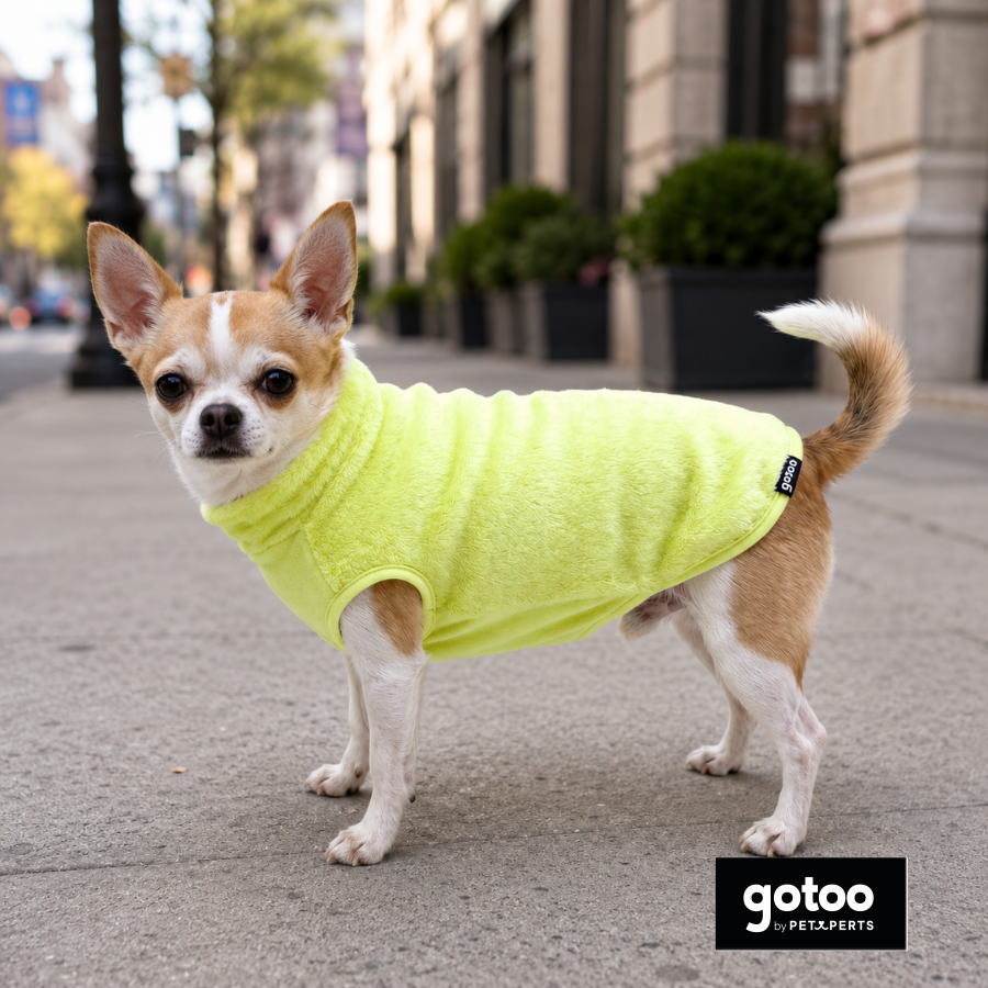 Gotoo Jersey Polar Verde Lima para perros