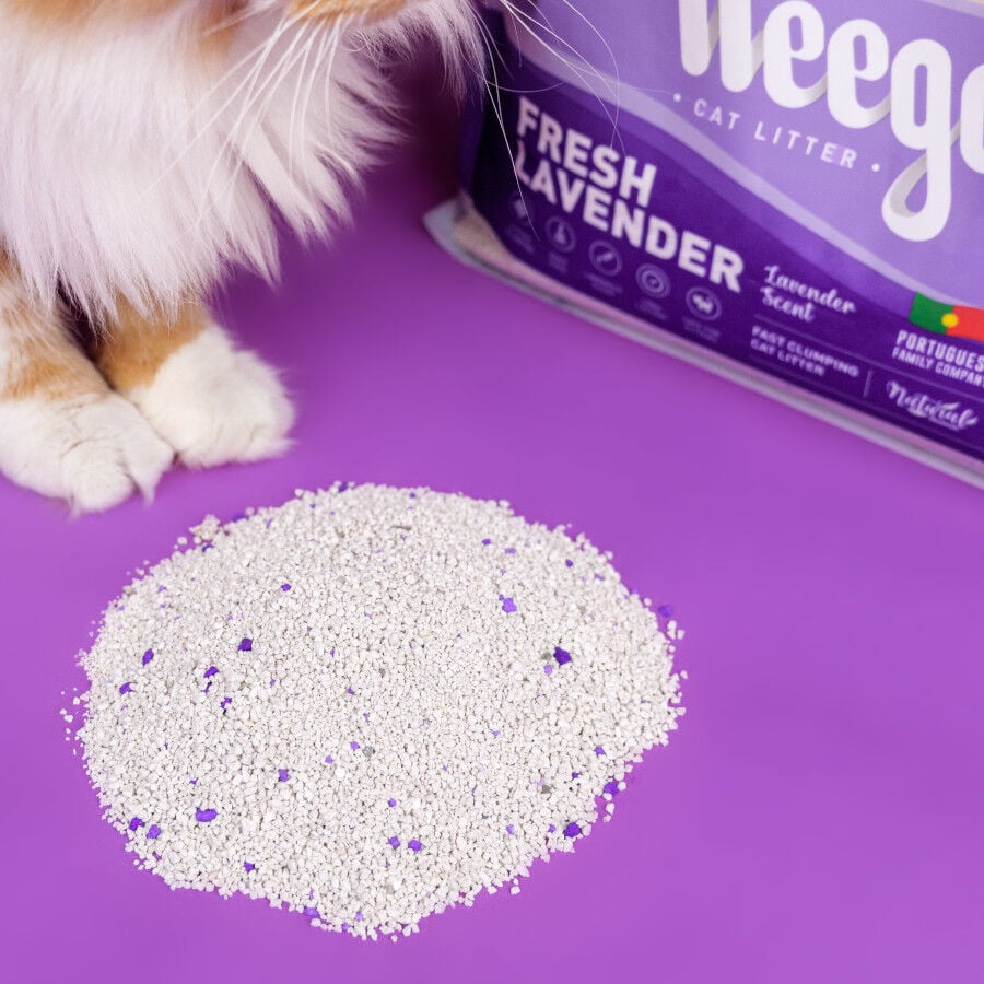 Weego Fresh Lavender Arena Aglomerante para gatos, , large Imagen numero 2