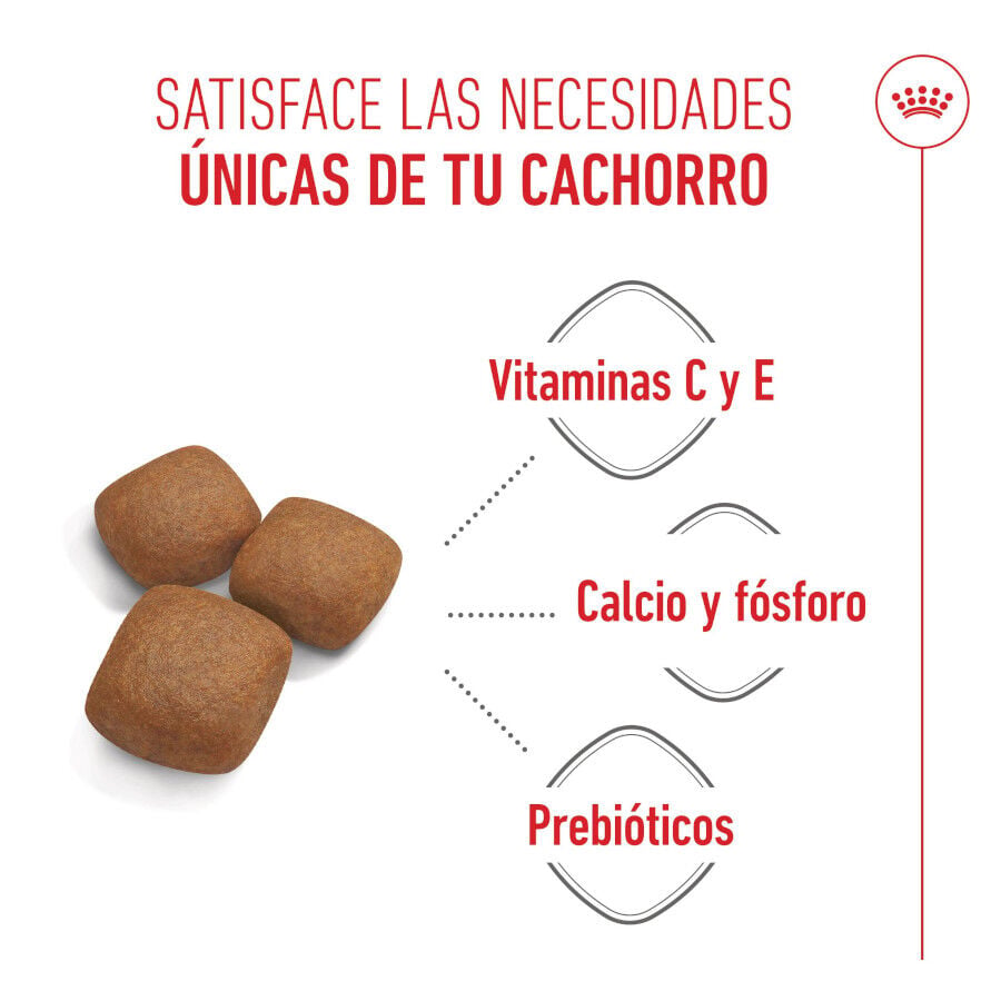15 kg Royal Canin Junior Giant pienso para perros, , large Imagen numero 4