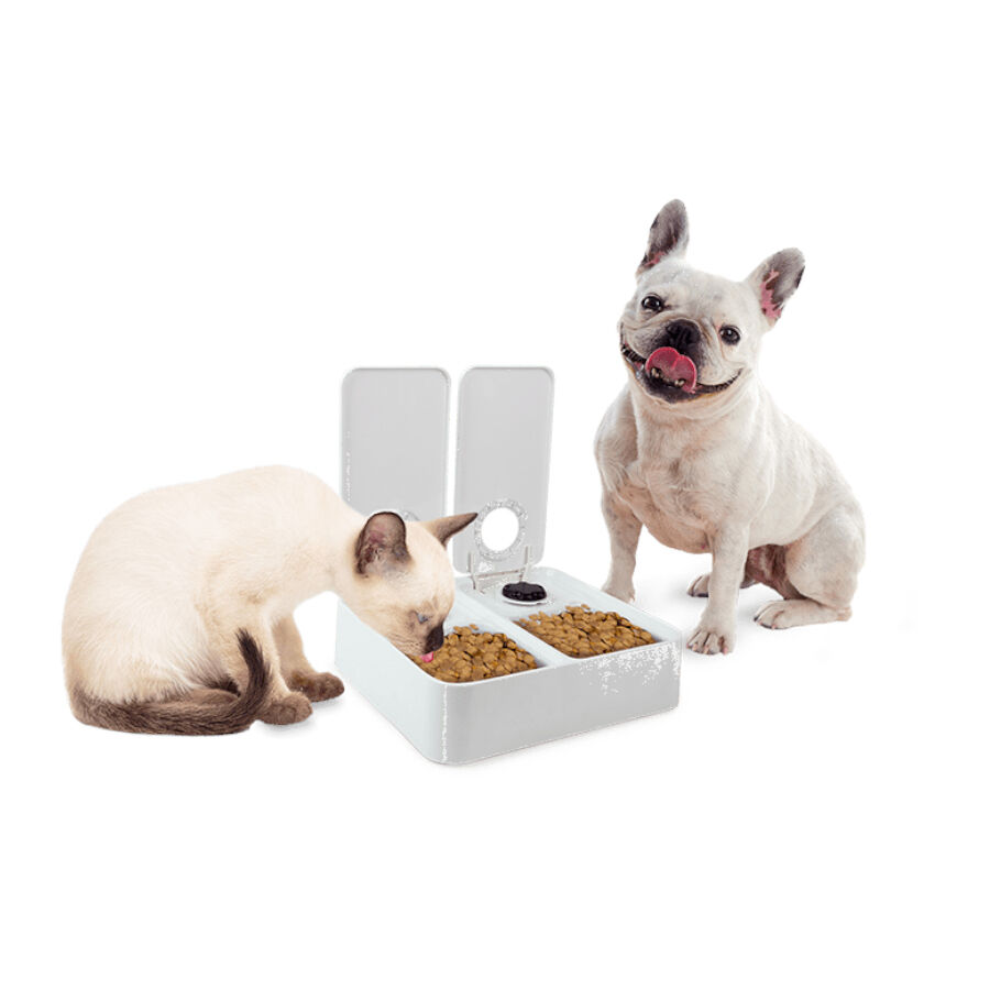 All For Paws Liftstyle4Pets Comedero Autom&aacute;tico Doble para perros y gatos, , large indicador imagen numero 4