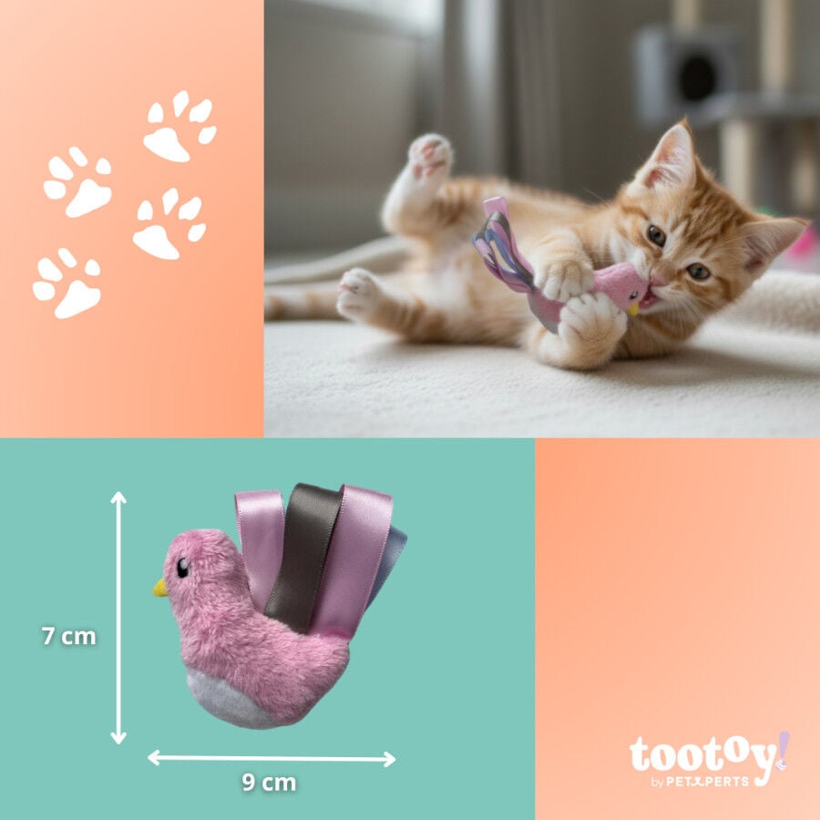 Tootoy! Peluche con Catnip P&aacute;jaro con Lazos para gatitos, , large indicador imagen numero 4