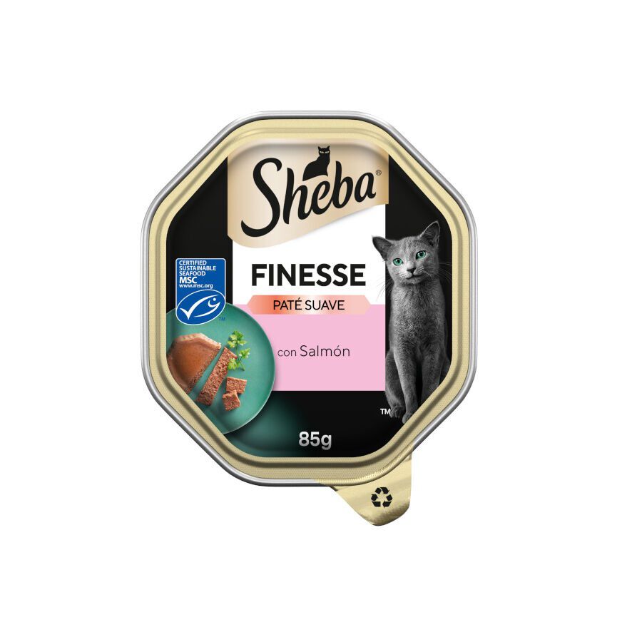 85 g Sheba Finesse Salm&oacute;n en Pat&eacute; tarrina para gatos, , large indicador imagen numero 1