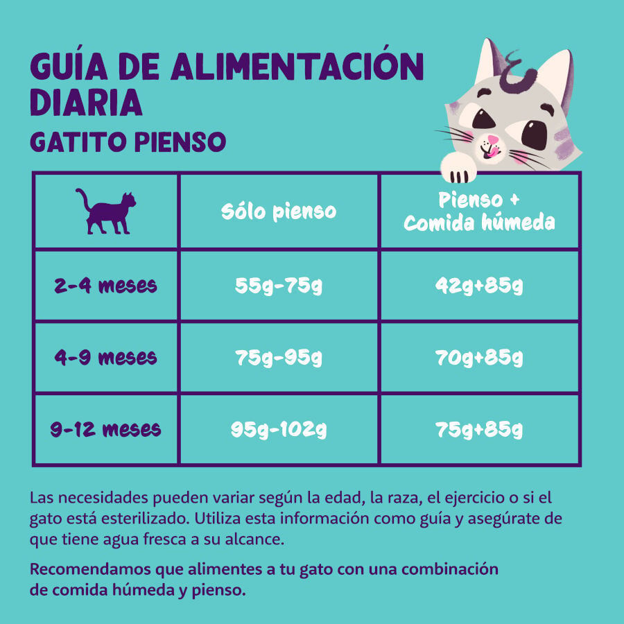 2 kg Edgard & Cooper Kitten Pato y Pollo pienso, , large Imagen numero 4
