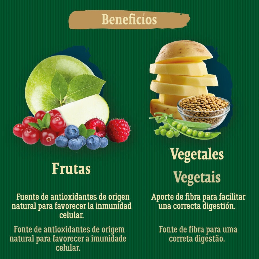 True Origins Wild Golden Coast con Pescado blanco pienso para perros, , large Imagen numero 4