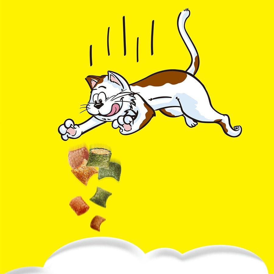 55 g Catisfactions Bocaditos ShakeUps Aves a la Brasa para gatos, , large Imagen numero 2