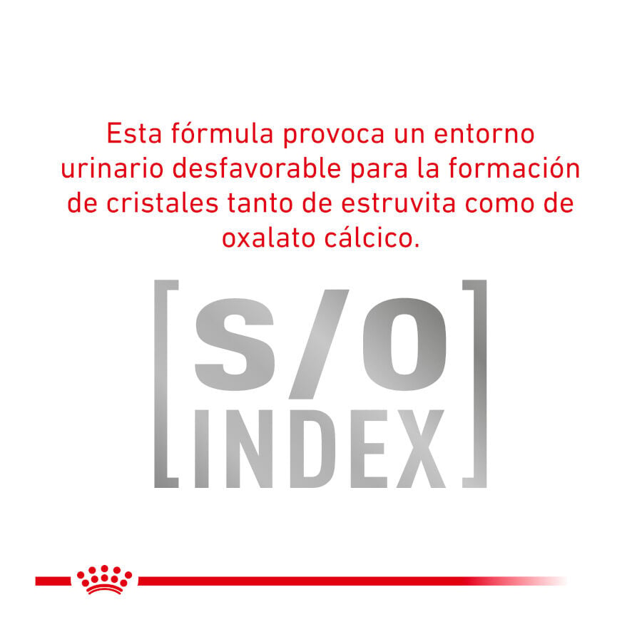 12 sobres x 85 g Royal Canin Veterinary Urinary Moderate Calorie sobres para gatos, , large Imagen numero 7