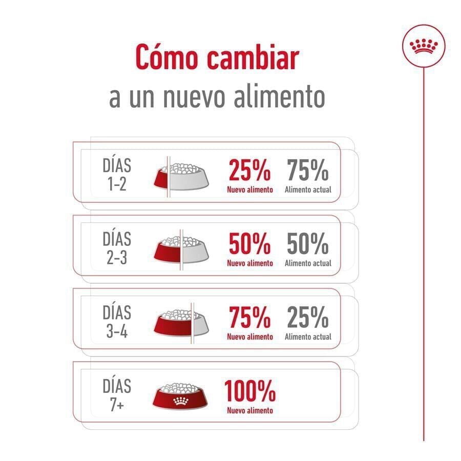 18 kg (15 + 3kg &iexcl;gratis!) Royal Canin Maxi Adult pienso para perros, , large indicador imagen numero 9