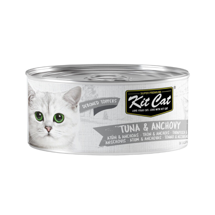 80 g Kit Cat At&uacute;n con Anchoas Gelatina Lata para gatos, , large Imagen numero 1