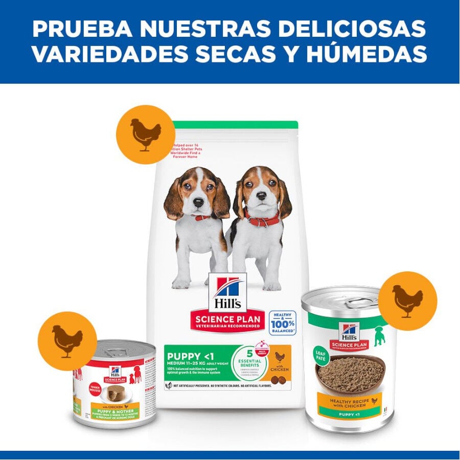 370 g Hill's Science Plan Puppy pollo lata para perros, , large indicador imagen numero 6