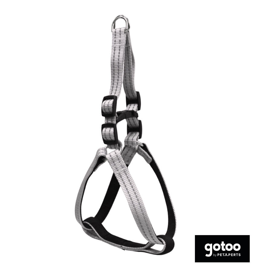 Gotoo Arn&eacute;s reflectante de neopreno gris para perros, , large indicador imagen numero 2