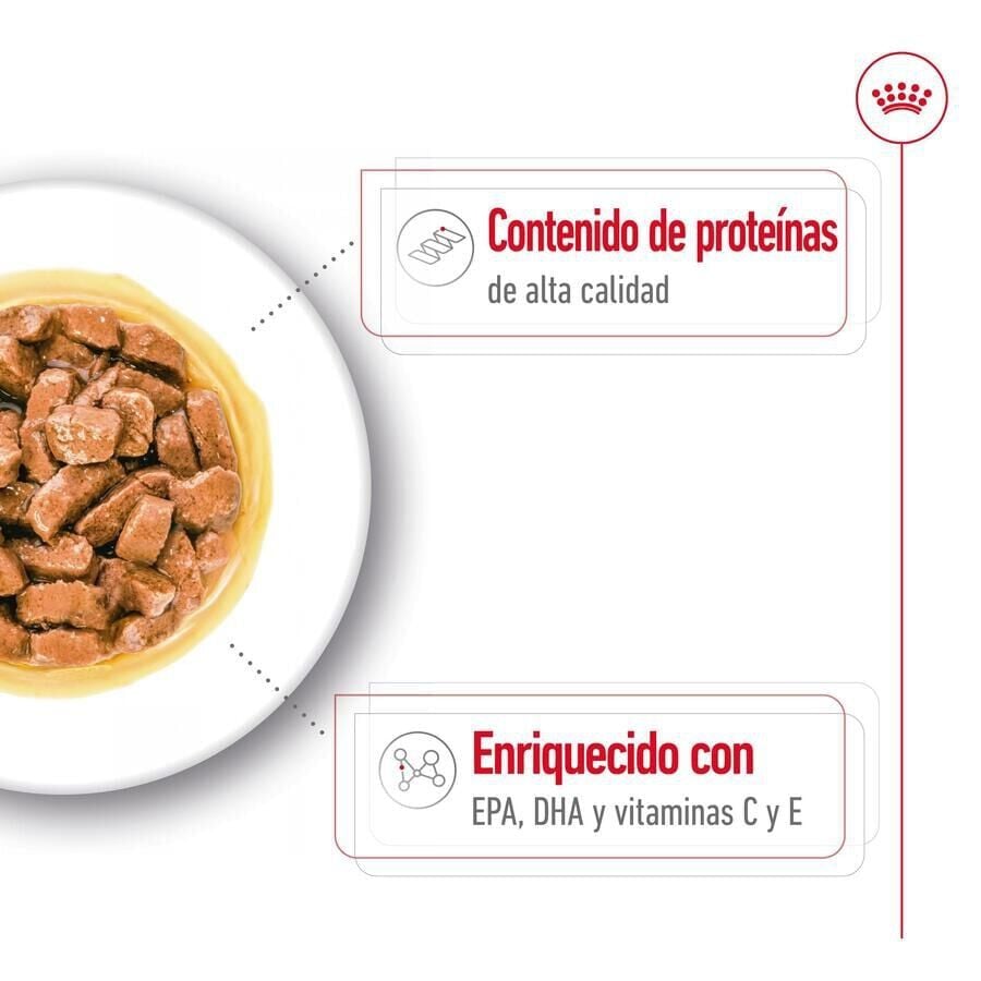 140 g Royal Canin Medium Ageing sobre en salsa para perros&nbsp;senior, , large indicador imagen numero 4