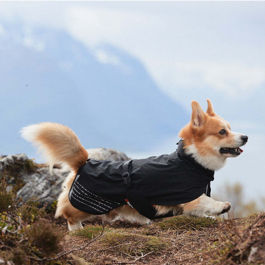 Non-stop dogwear Fjord Chubasquero Impermeable Negro para perros, , large Imagen numero 3
