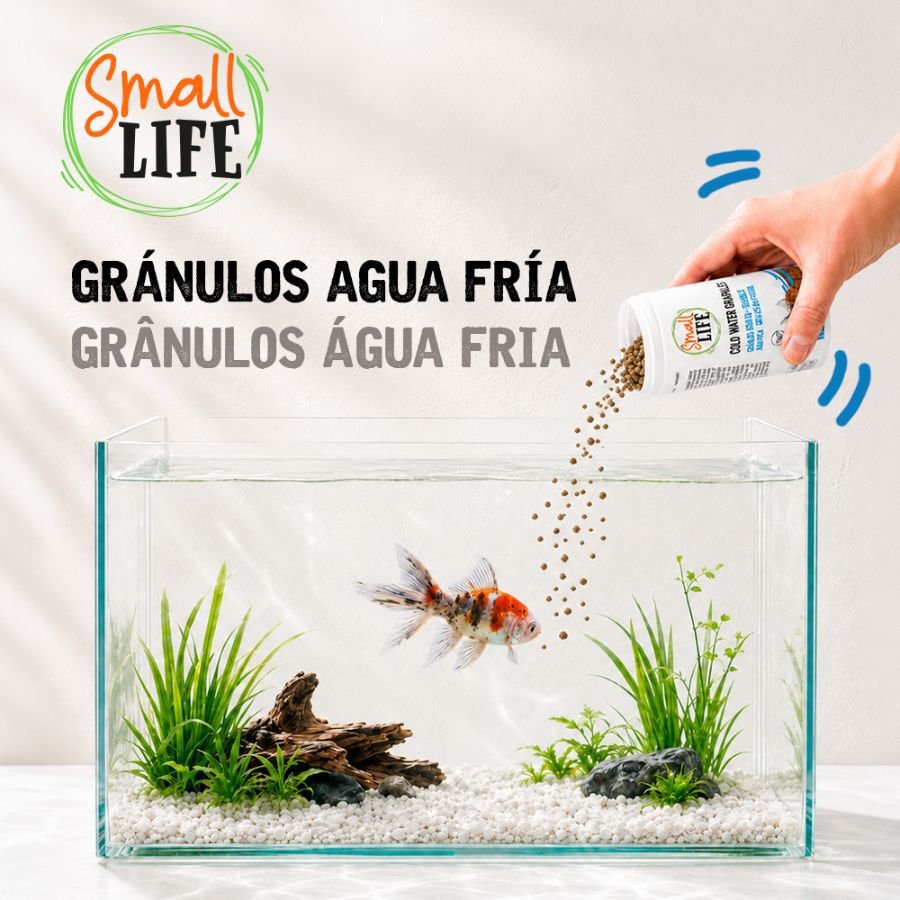 250 ml Small Life Gr&aacute;nulos Agua Fria Alimento para peces, , large Imagen numero 4