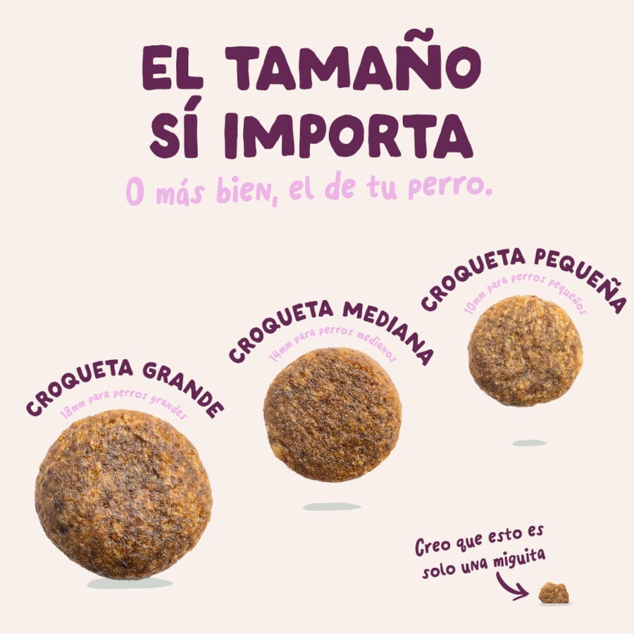 2.5 kg Edgard & Cooper Adult Venado y Pato pienso para perros, , large Imagen numero 5