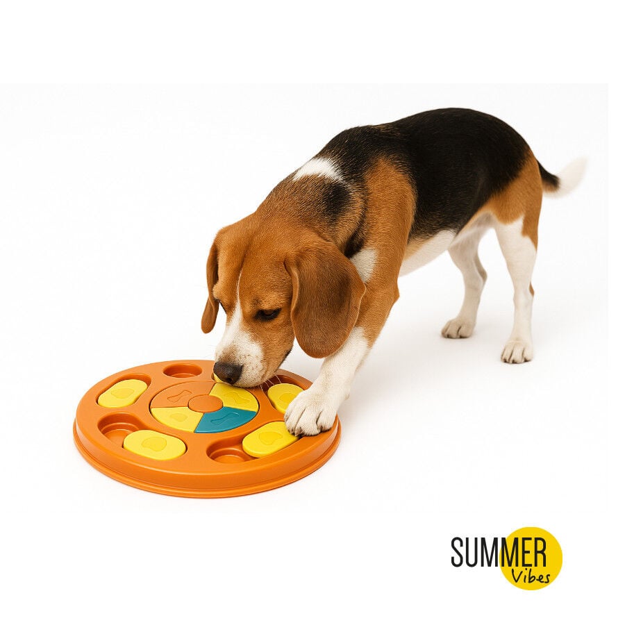 Summer Vibes Juguete Interactivo para perros, , large indicador imagen numero 2