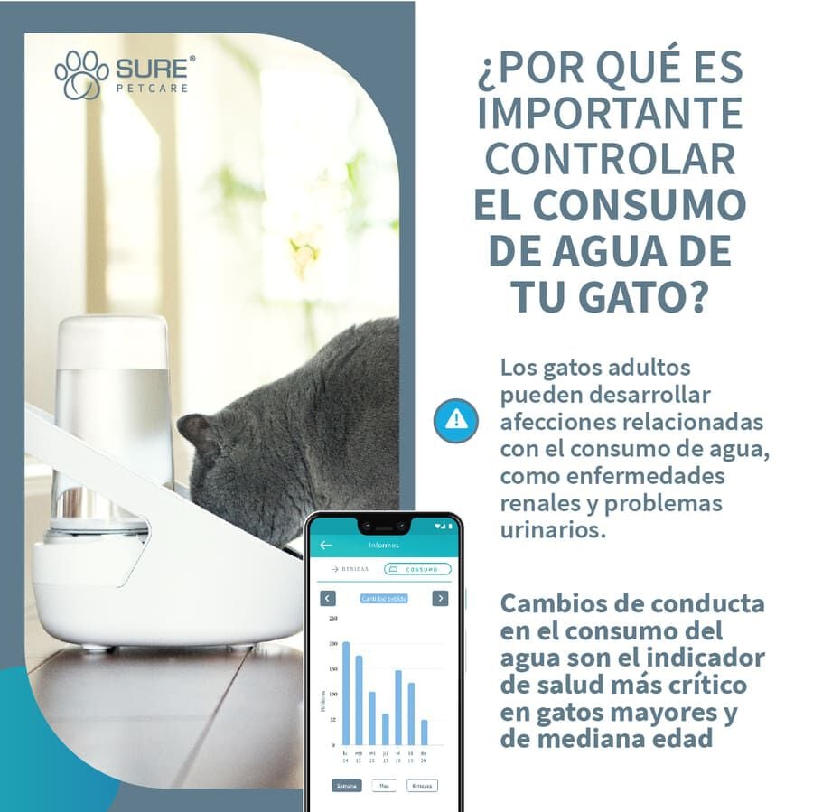Sure Petcare Felaqua Connect Bebedero Autom&aacute;tico para gatos indicador imagen numero 7