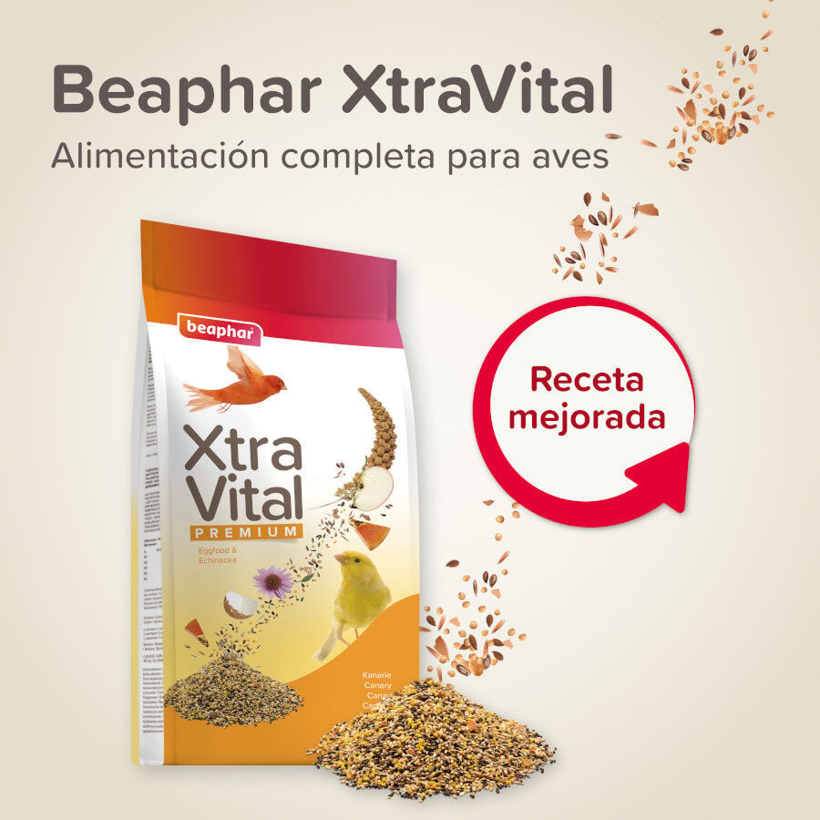 Beaphar XtraVital Premium Canarios alimento para p&aacute;jaros, , large Imagen numero 2