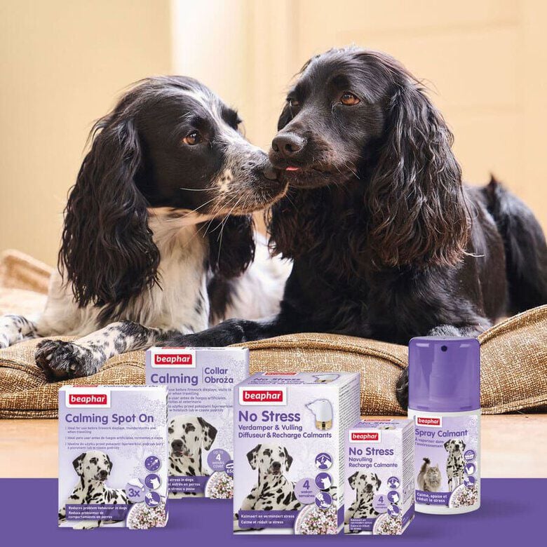 Beaphar Calming Collar Relajante para perros5 Imagen numero 5