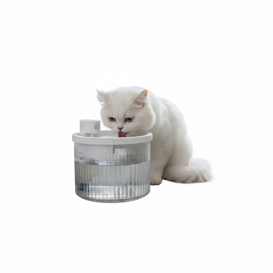 All For Paws Lifestyle Fuente Inhal&aacute;mbrica para perros y gatos