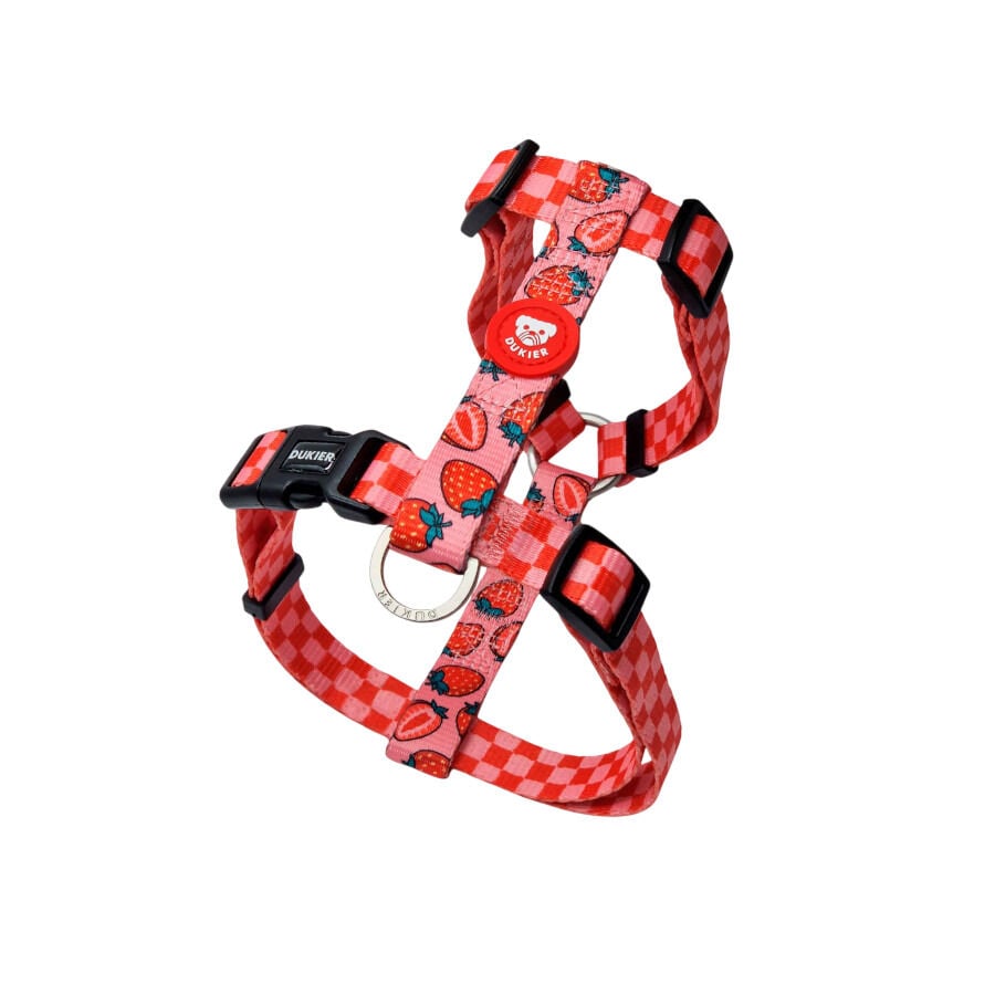 Dukier Arn&eacute;s Cl&aacute;sico Dise&ntilde;o Berry Love para perros, , large indicador imagen numero 1