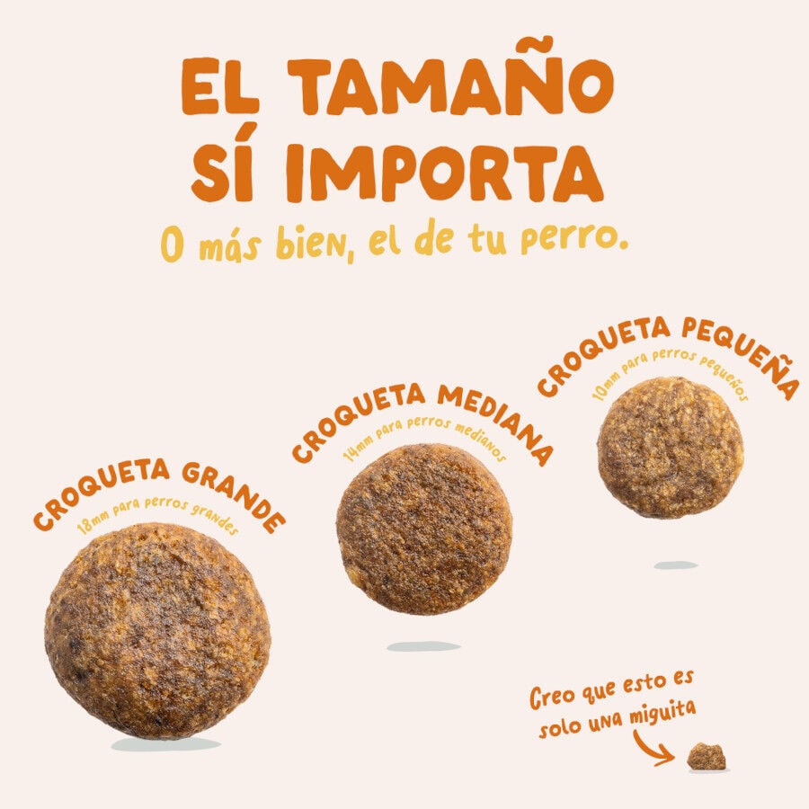 7 kg Edgard & Cooper Adult Bio Pavo pienso para perros, , large Imagen numero 5